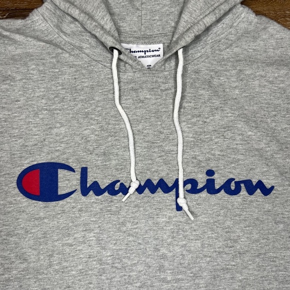 Champion Mens Middleweight T-Shirt Hoodie, Oxford Gray, Size L - Picture 6 of 9